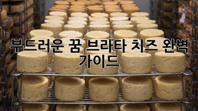 부드러운 꿈, 브라타 치즈 완벽 가이드