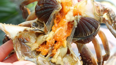 🦀 삼남매 간장&암꽃게장: 솔직 후기와 꿀팁 대방출!