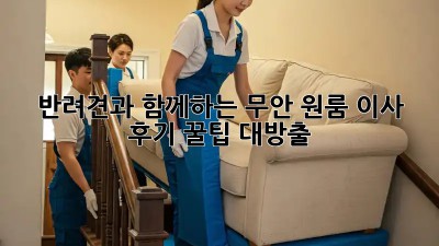 반려견과 함께하는 무안 원룸 이사 후기: 꿀팁 대방출!