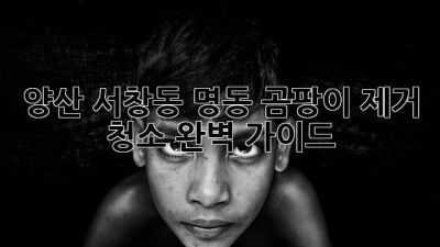 양산 서창동 명동 곰팡이 제거 청소 완벽 가이드